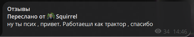 Отзыв от Squirrel